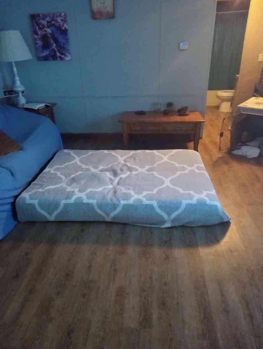 Futon with mattress - Conway, Arkansas - FleaMarketBay