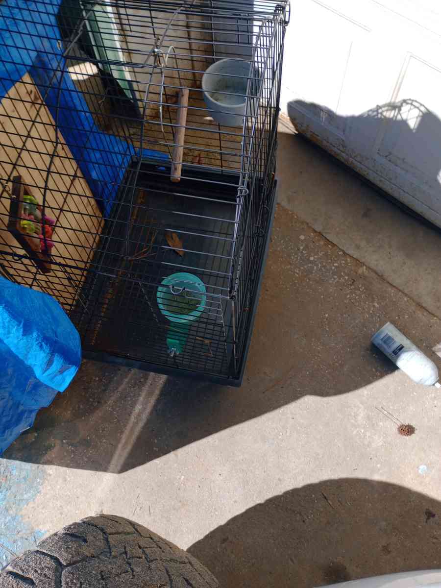 Bird Cage - Conway, South Carolina - FleaMarketBay