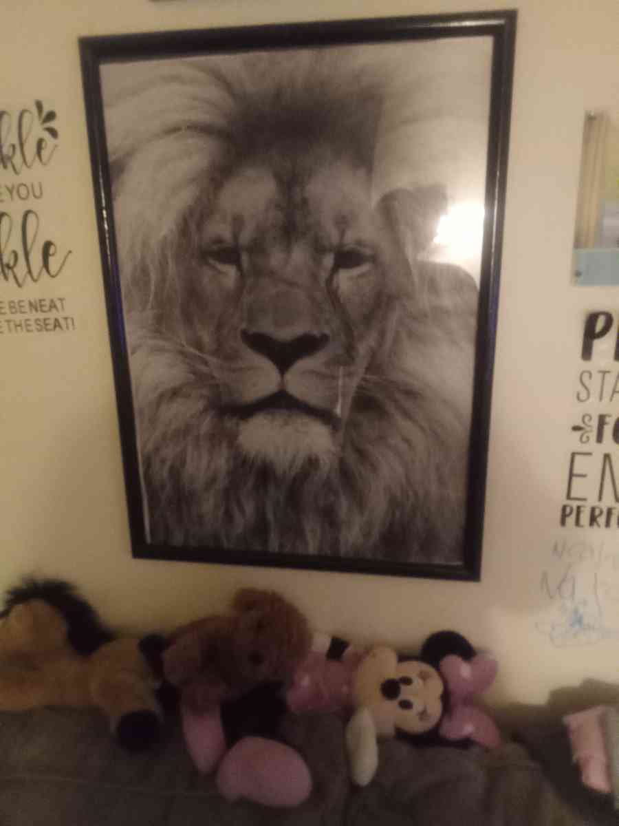 lion picture in frame - Ontario, New York - FleaMarketBay