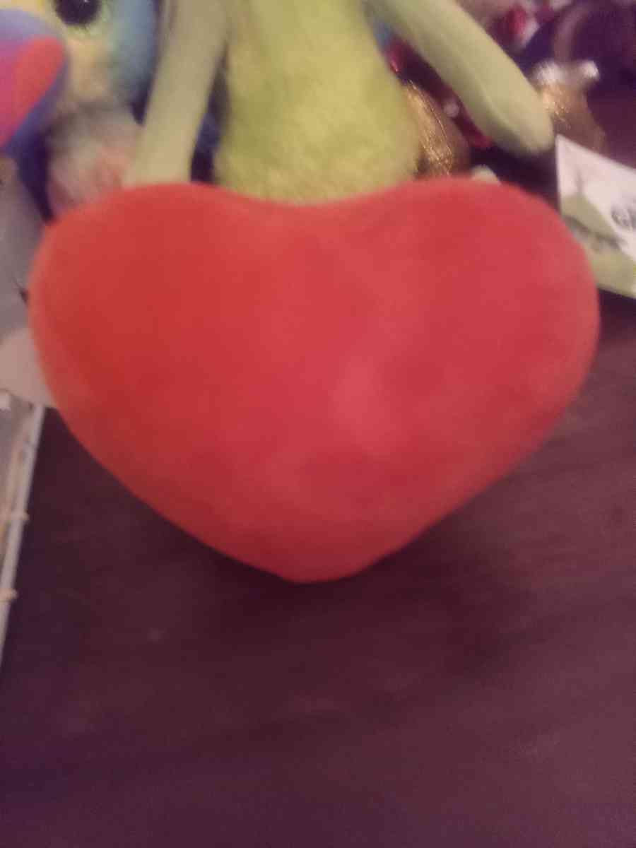 Beanie baby - Ontario, New York