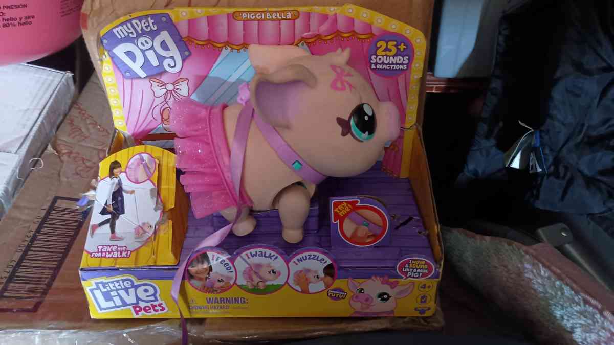 My pet pig - Alton, Illinois - FleaMarketBay