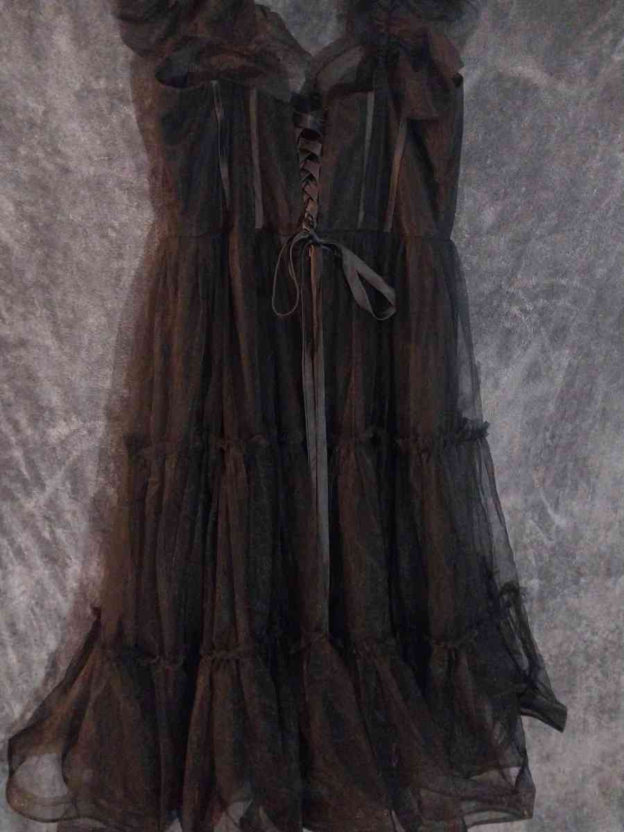 Corset style Corset is see thru around the bust - Portland, Oregon - FleaMarketBay