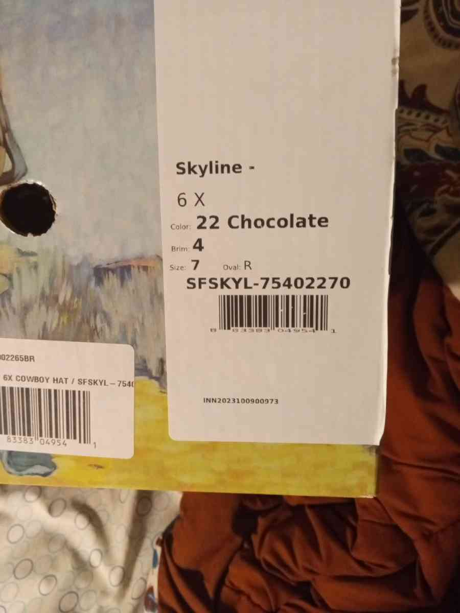 Stetson cowboy hat - Wilmington, North Carolina - FleaMarketBay