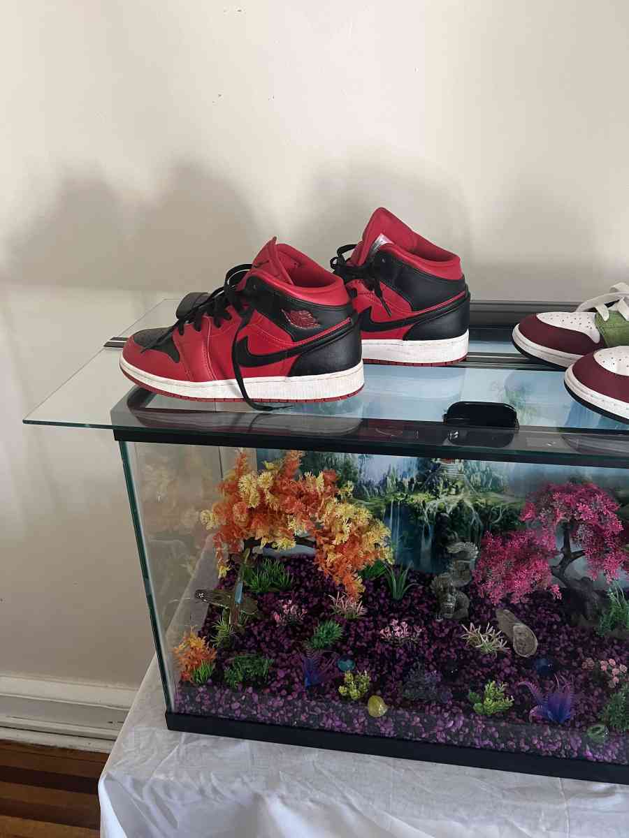 Jordans - Reading, Pennsylvania - FleaMarketBay