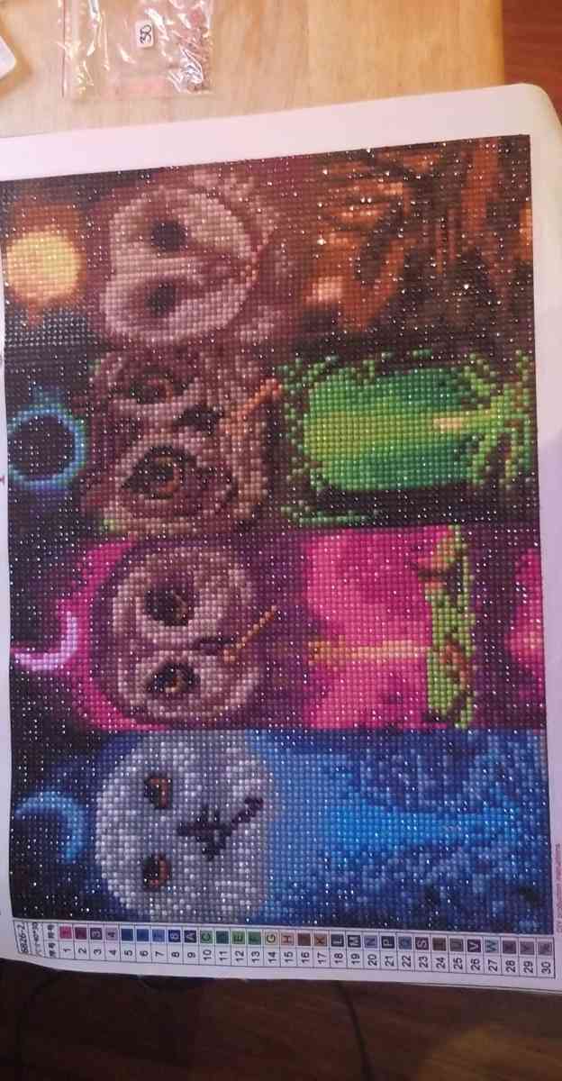 Diamond Painting - Harveys Lake, Pennsylvania - FleaMarketBay