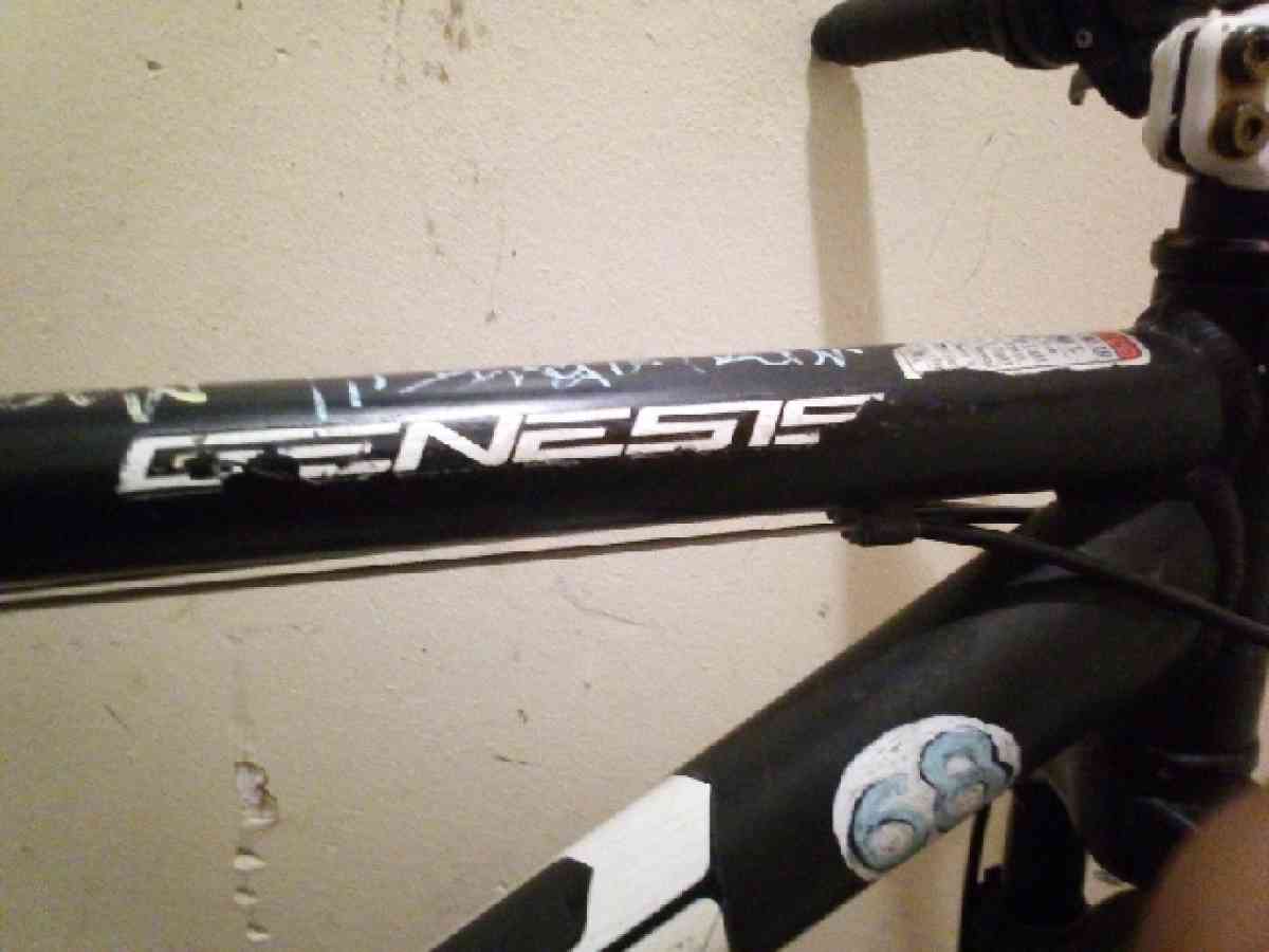 Genesis mountain bike 29in