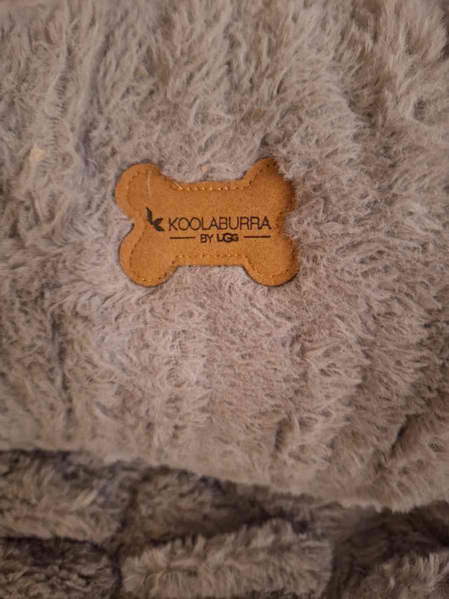 Ugg brand medium dog bed - Lincoln, Nebraska - FleaMarketBay