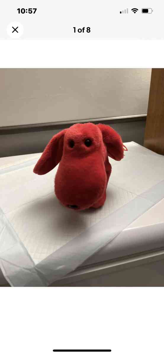 Ty Rover the red dog beanie buddy  error left ear backwards - Dyersburg, Tennessee