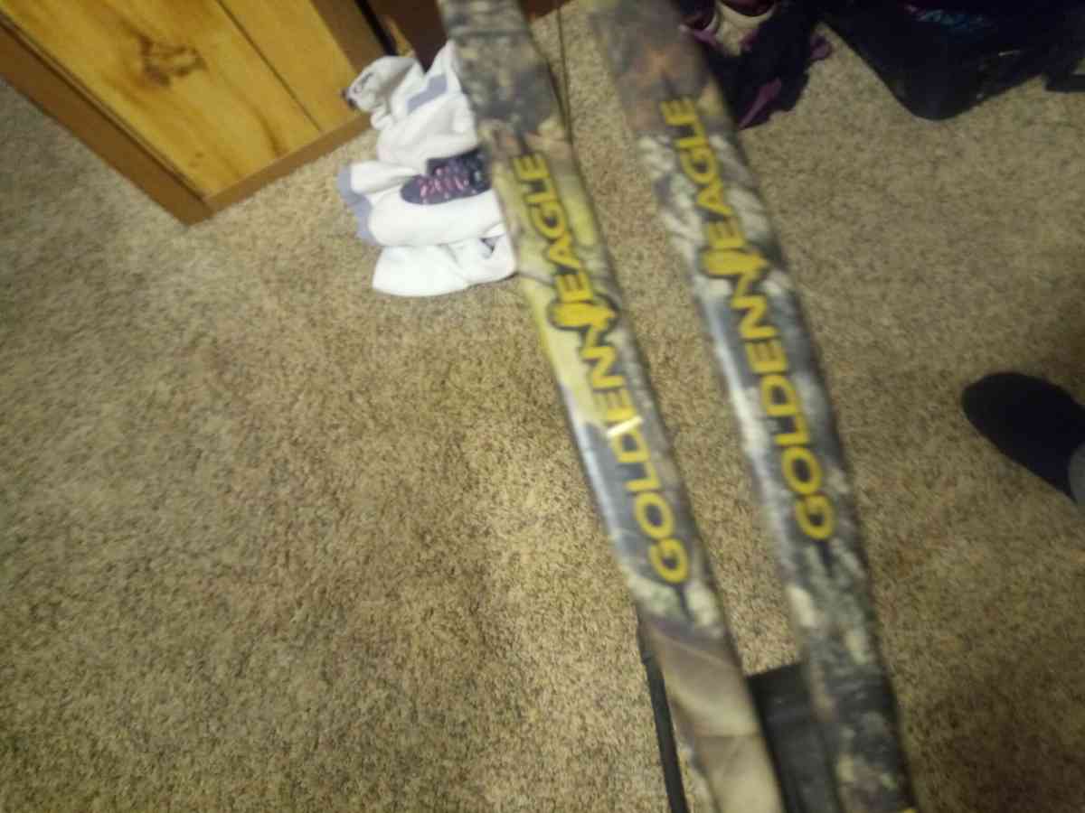 compound bow - Minersville, Pennsylvania