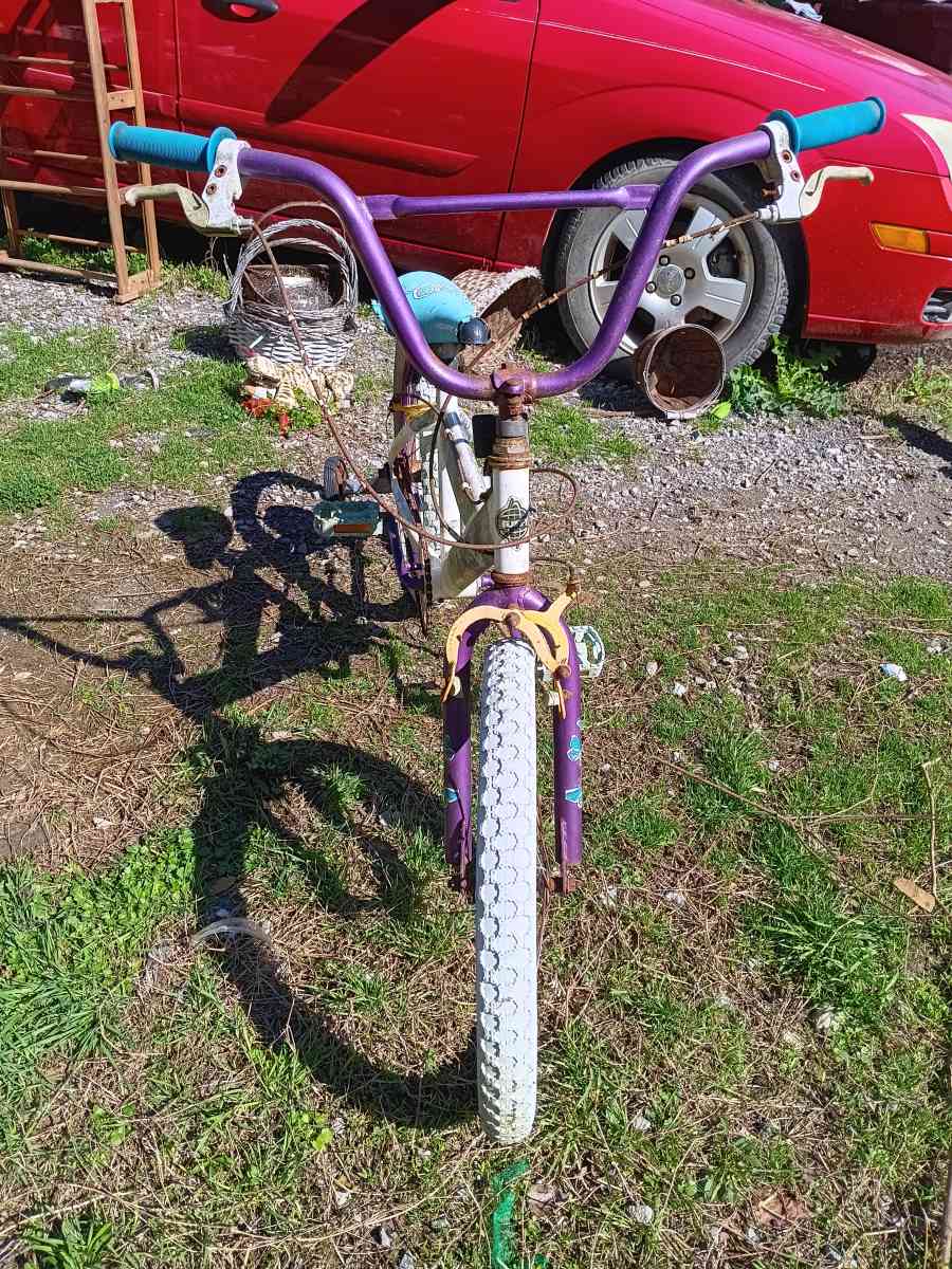 little girl bike that has been sitting for a few years now - Cullman, Alabama - FleaMarketBay