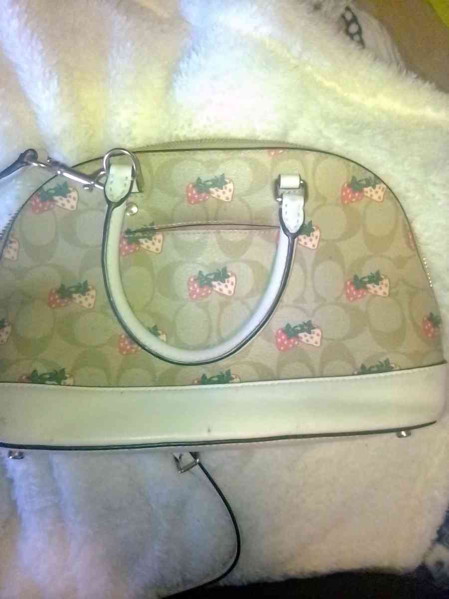 Genuine Coach Crossbody Handbag Purse - Boston, Massachusetts - FleaMarketBay