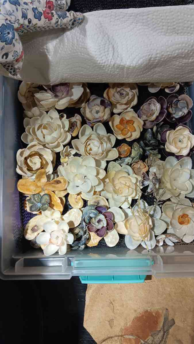 Seashells for crafts or jewelry - Bradley, South Carolina - FleaMarketBay