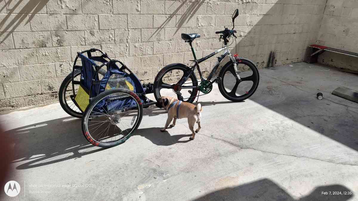 26 mountain bike with - Glendale, California - FleaMarketBay
