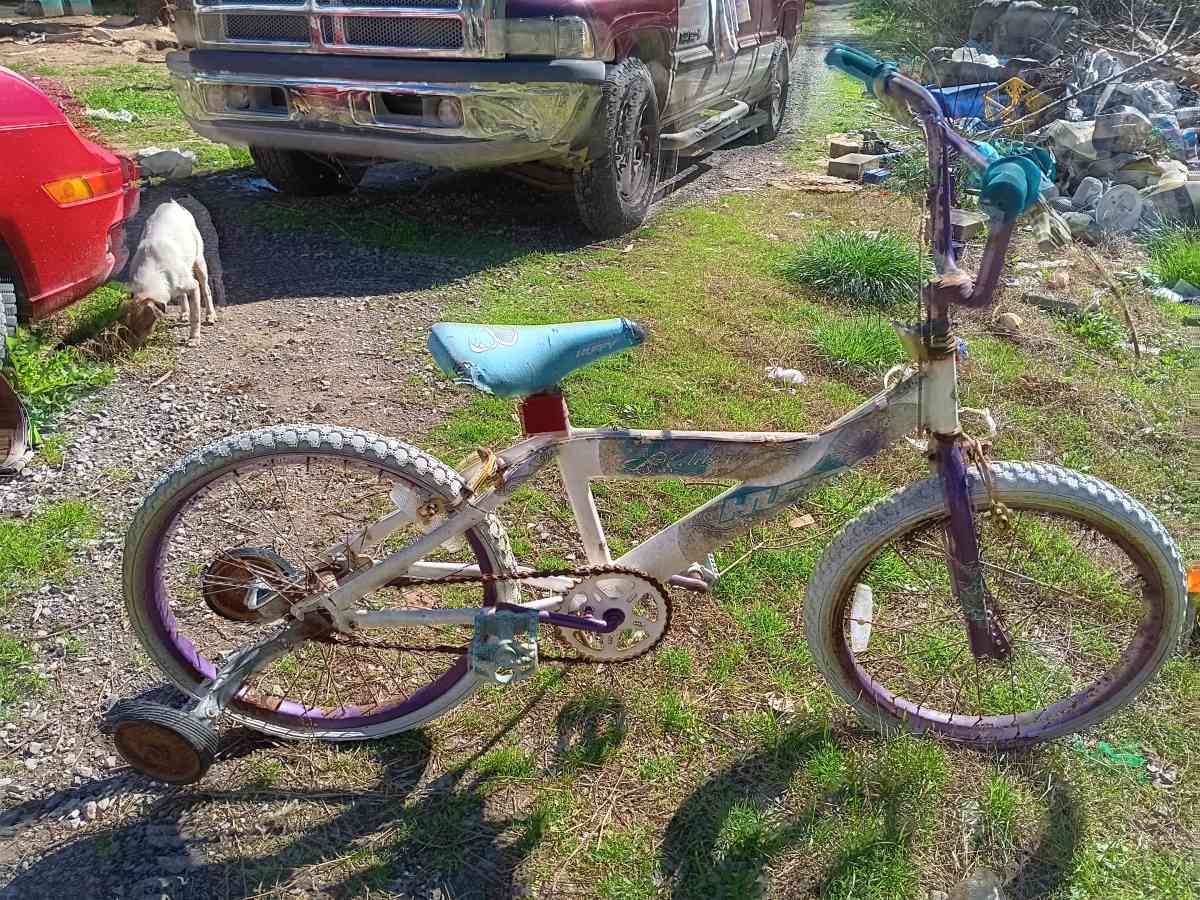 little girl bike that has been sitting for a few years now - Cullman, Alabama - FleaMarketBay