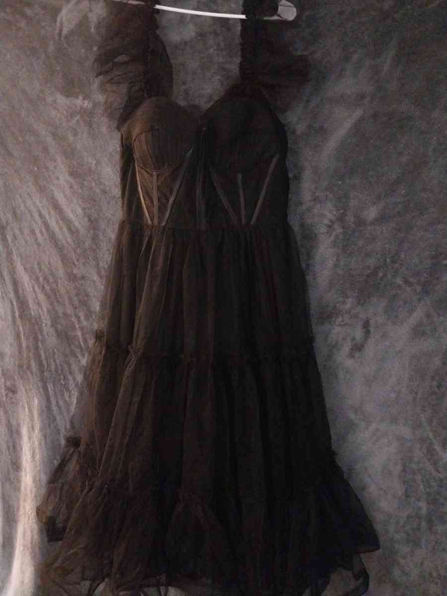 Corset style Corset is see thru around the bust - Portland, Oregon