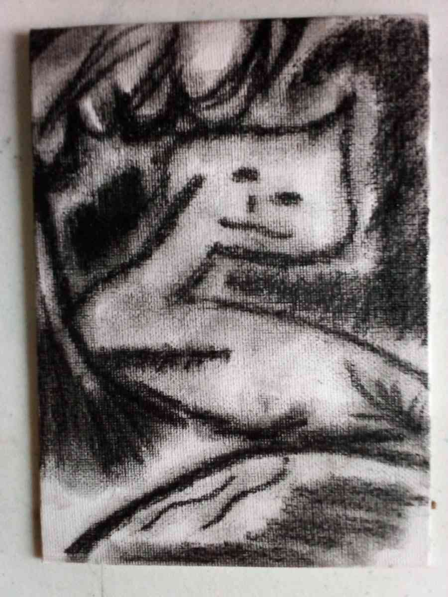 Charcoal canvas - Shell Knob, Missouri