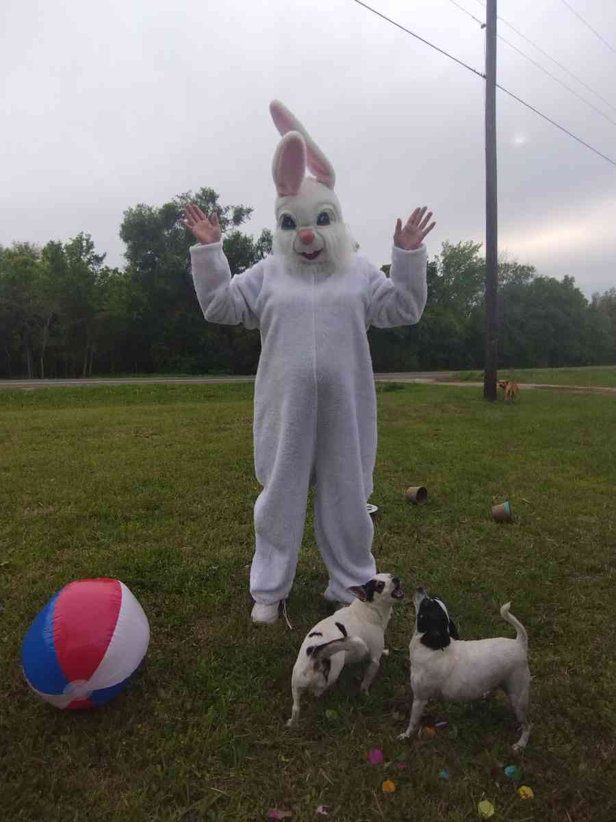 FREE pictures and snacks with the easter bunny - Mexia, Texas