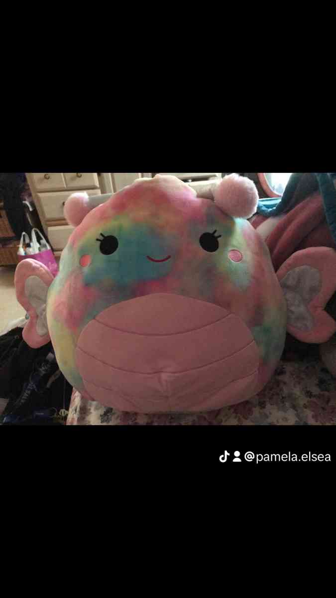 squash mellow - Mc Lean, Virginia