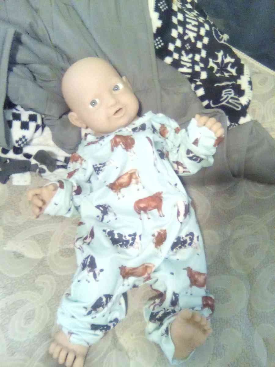 reborn silcone baby - Milaca, Minnesota