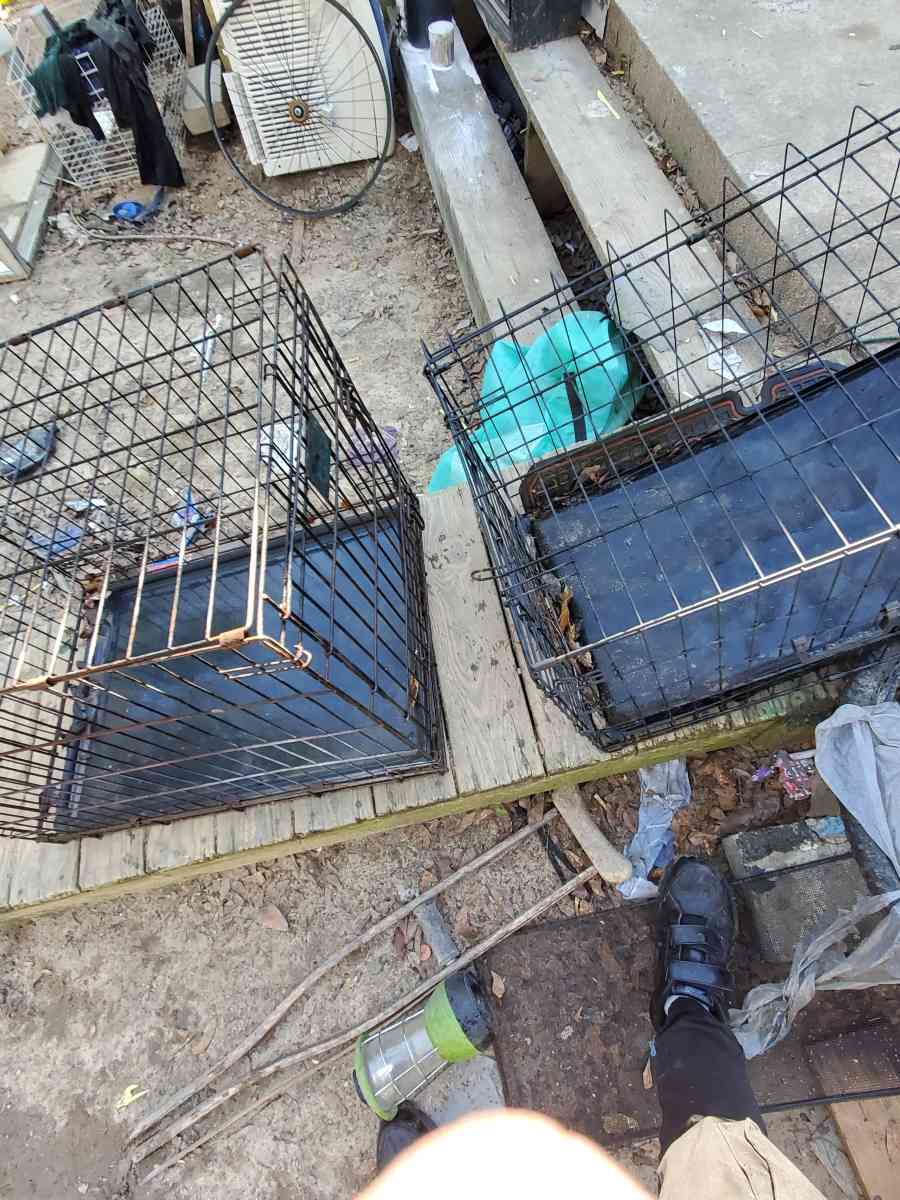 Dog Crates - Augusta, Georgia