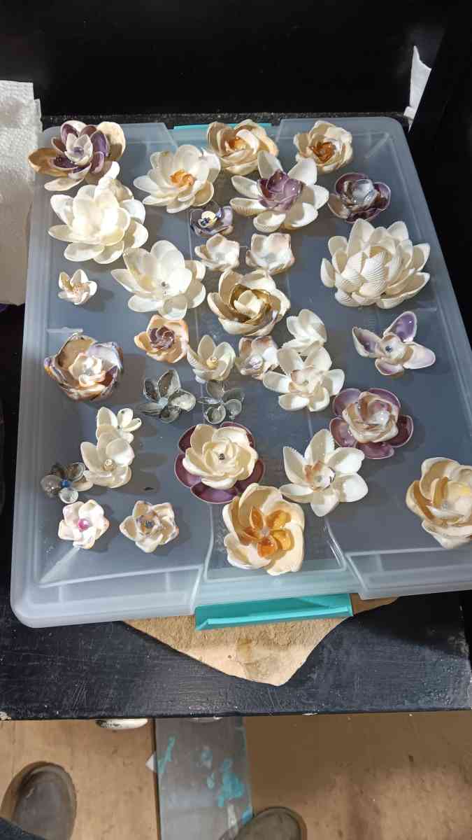 Seashells for crafts or jewelry - Bradley, South Carolina - FleaMarketBay
