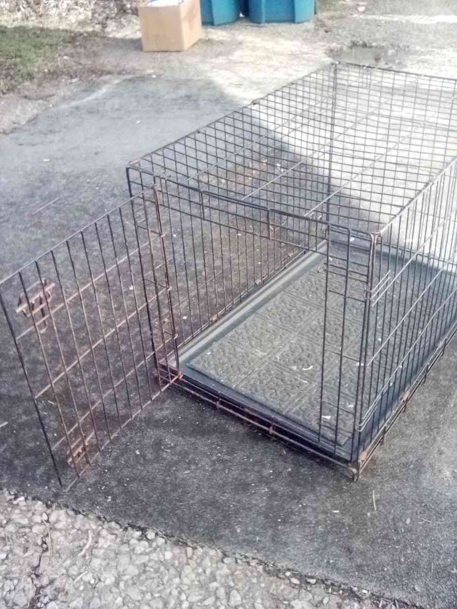 steel dog cage for a big dog - Lorain, Ohio