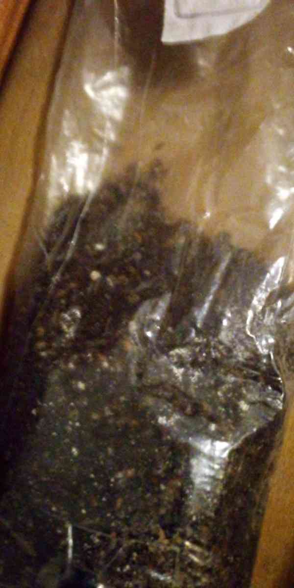 mycology equipment make offer - Gravel Switch, Kentucky - FleaMarketBay