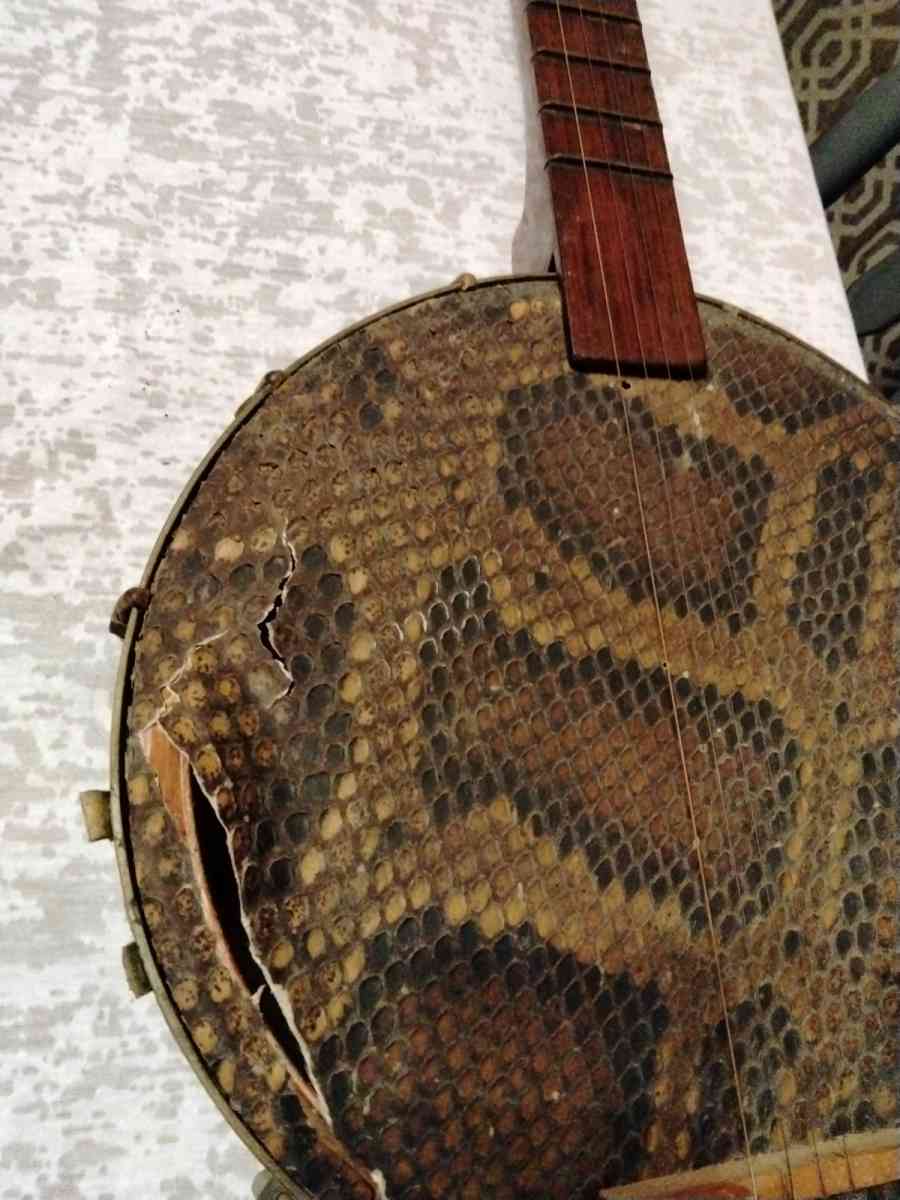 old Chinese banjo needs mending - Catasauqua, Pennsylvania - FleaMarketBay