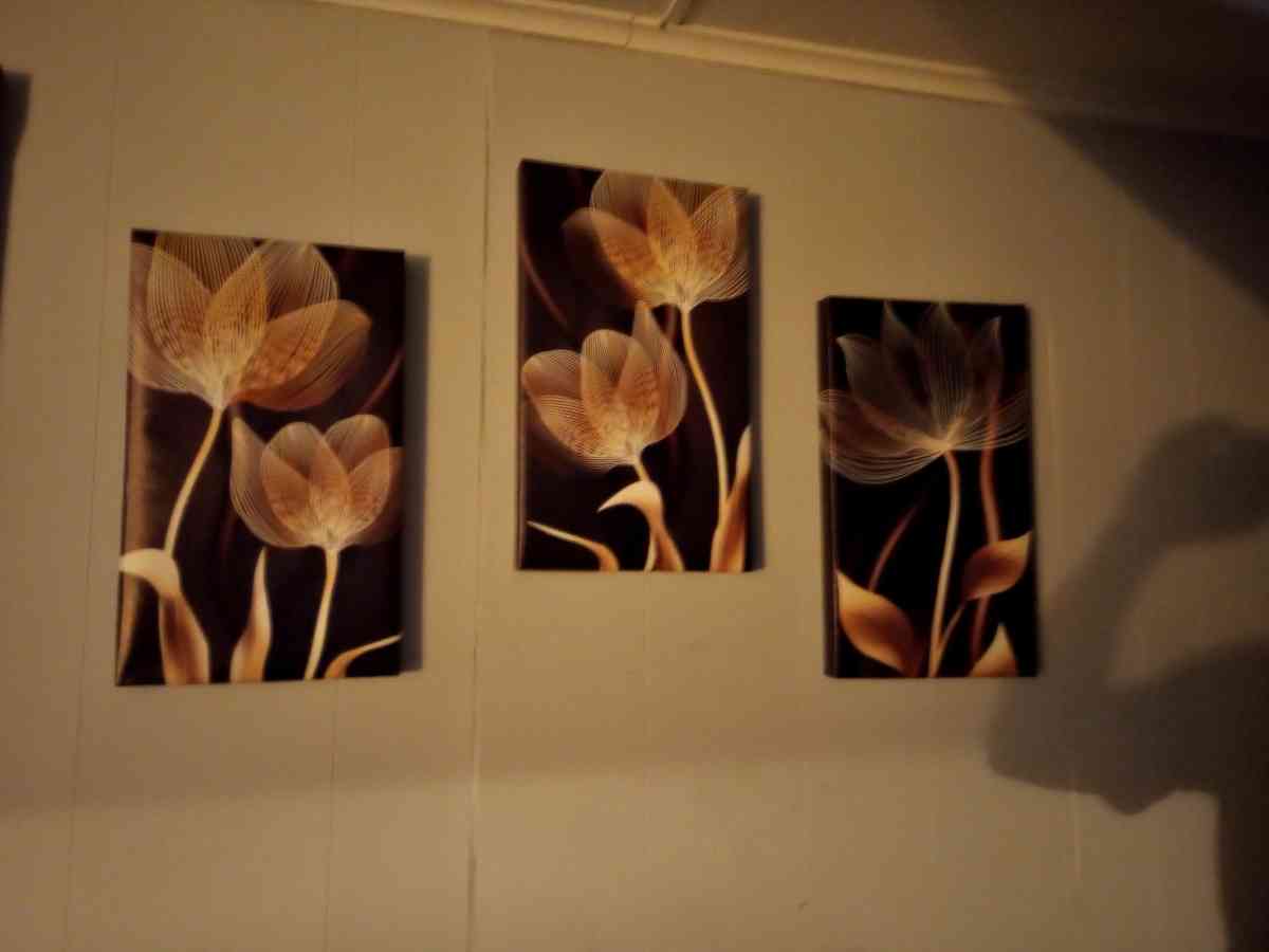 homemade canvas pictures - Clarksville, Tennessee - FleaMarketBay