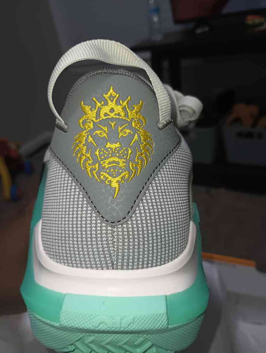 Nike LeBron witness 7 - Marietta, Georgia