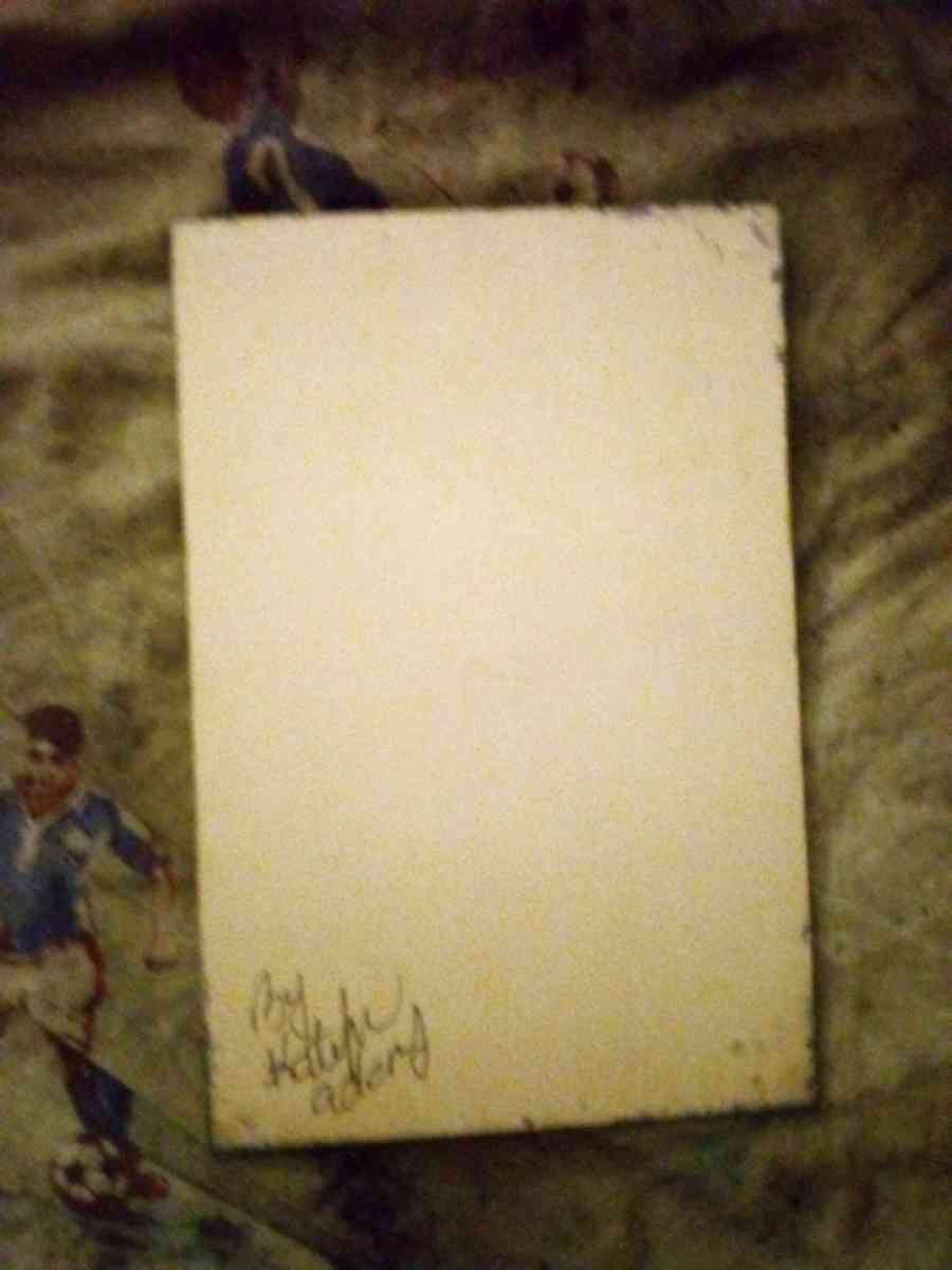 extra soft pastel soft board decor - Shell Knob, Missouri