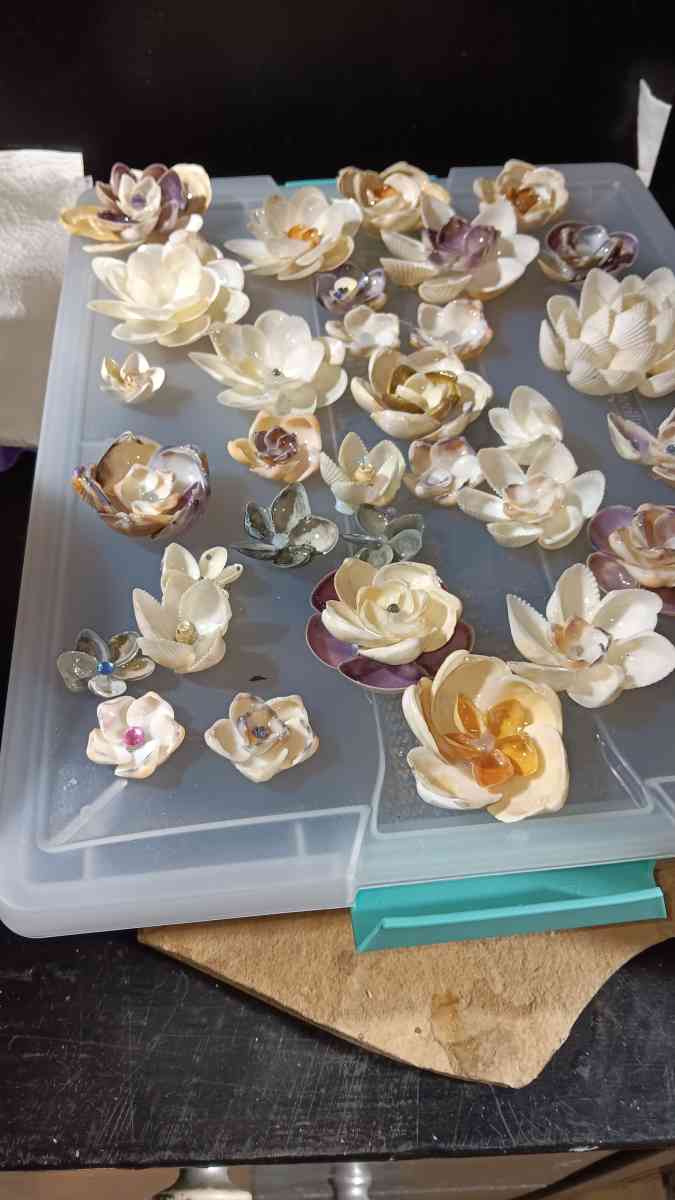 Seashells for crafts or jewelry - Bradley, South Carolina - FleaMarketBay