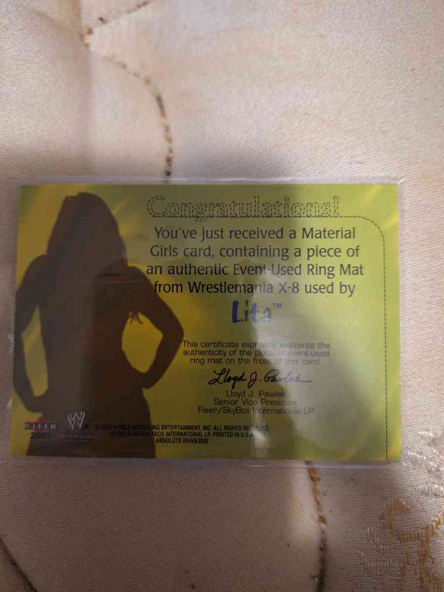 Lita main event piece - Miamisburg, Ohio - FleaMarketBay