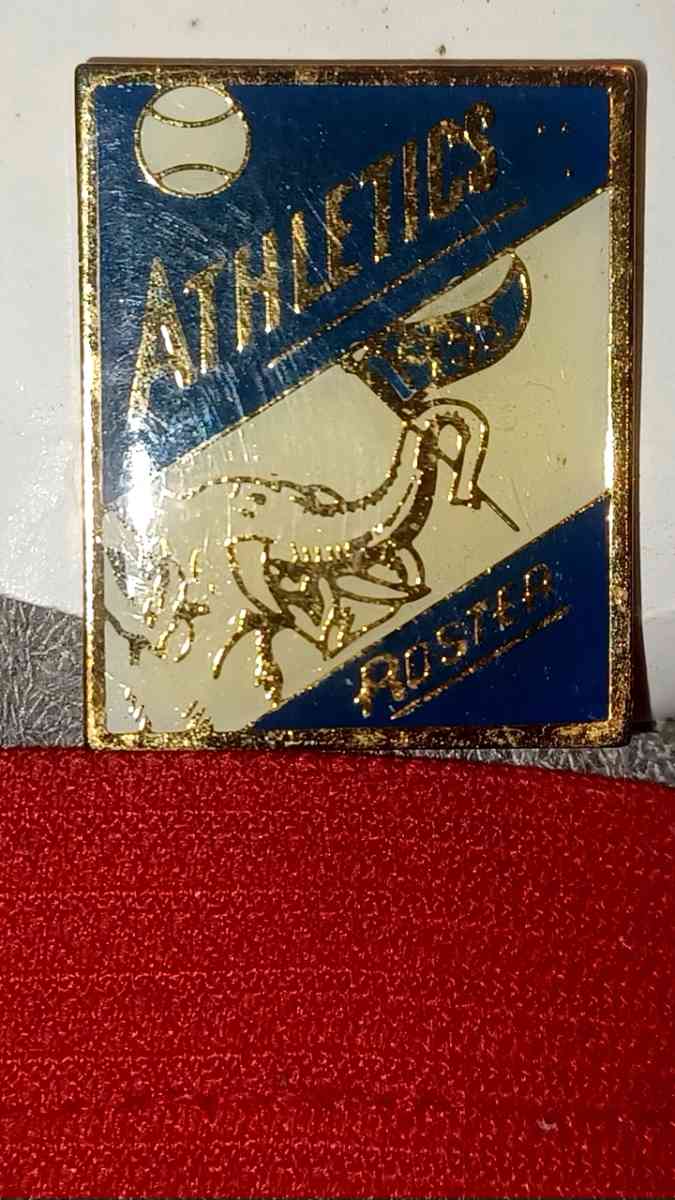 vintage pins - Bensalem, Pennsylvania