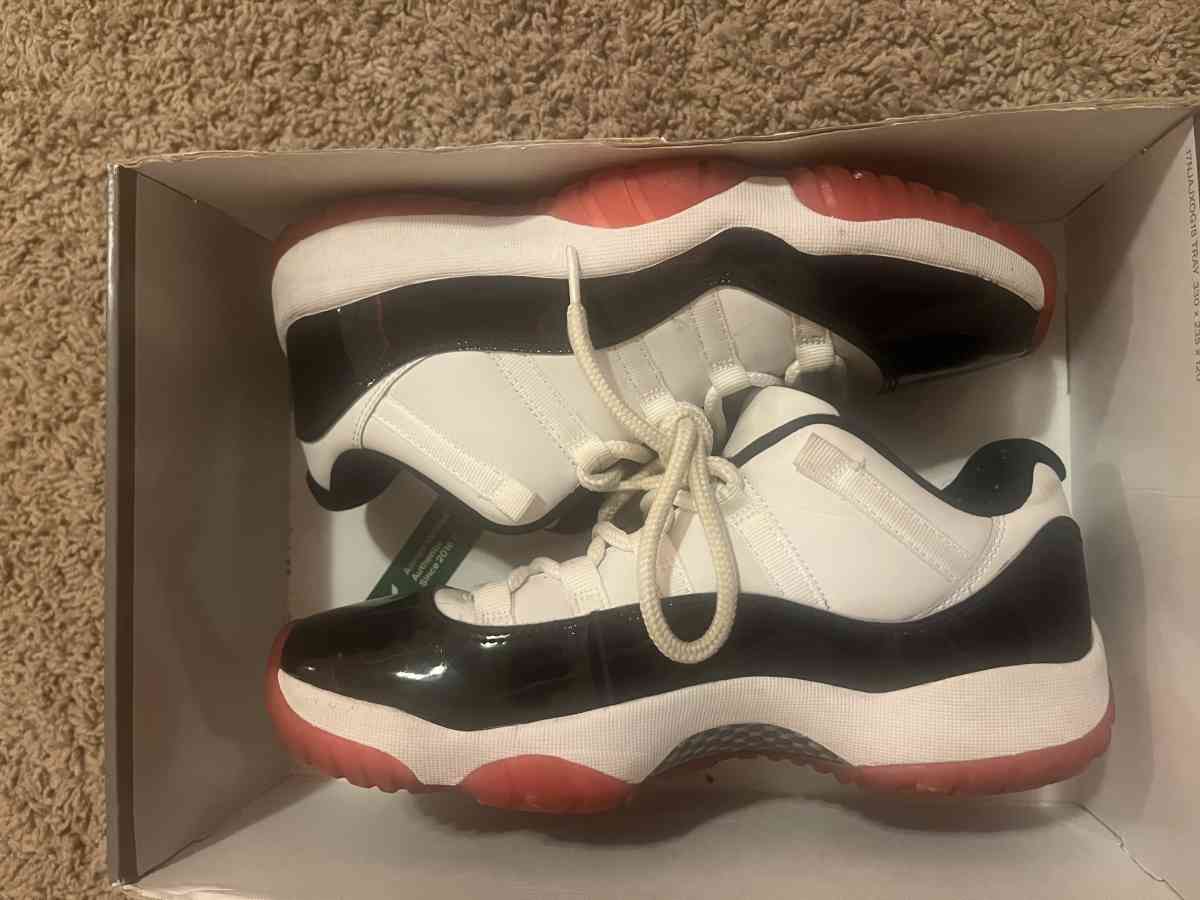 Concord bred 11s - Fort Washington, Maryland