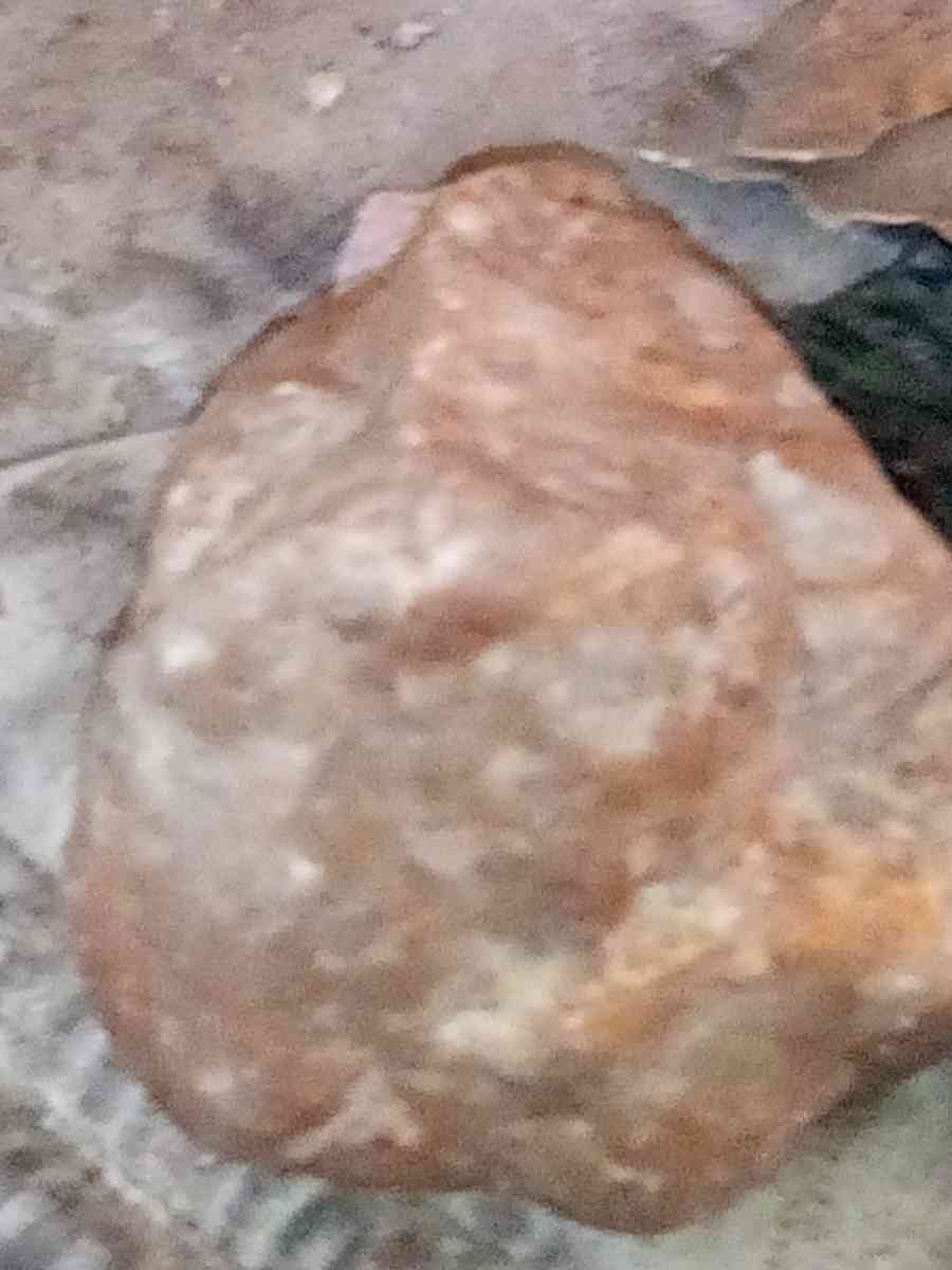 Yellow Sapphire Golden colors - Salinas, California - FleaMarketBay