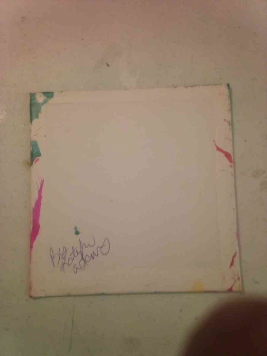 painting canvas - Shell Knob, Missouri - FleaMarketBay