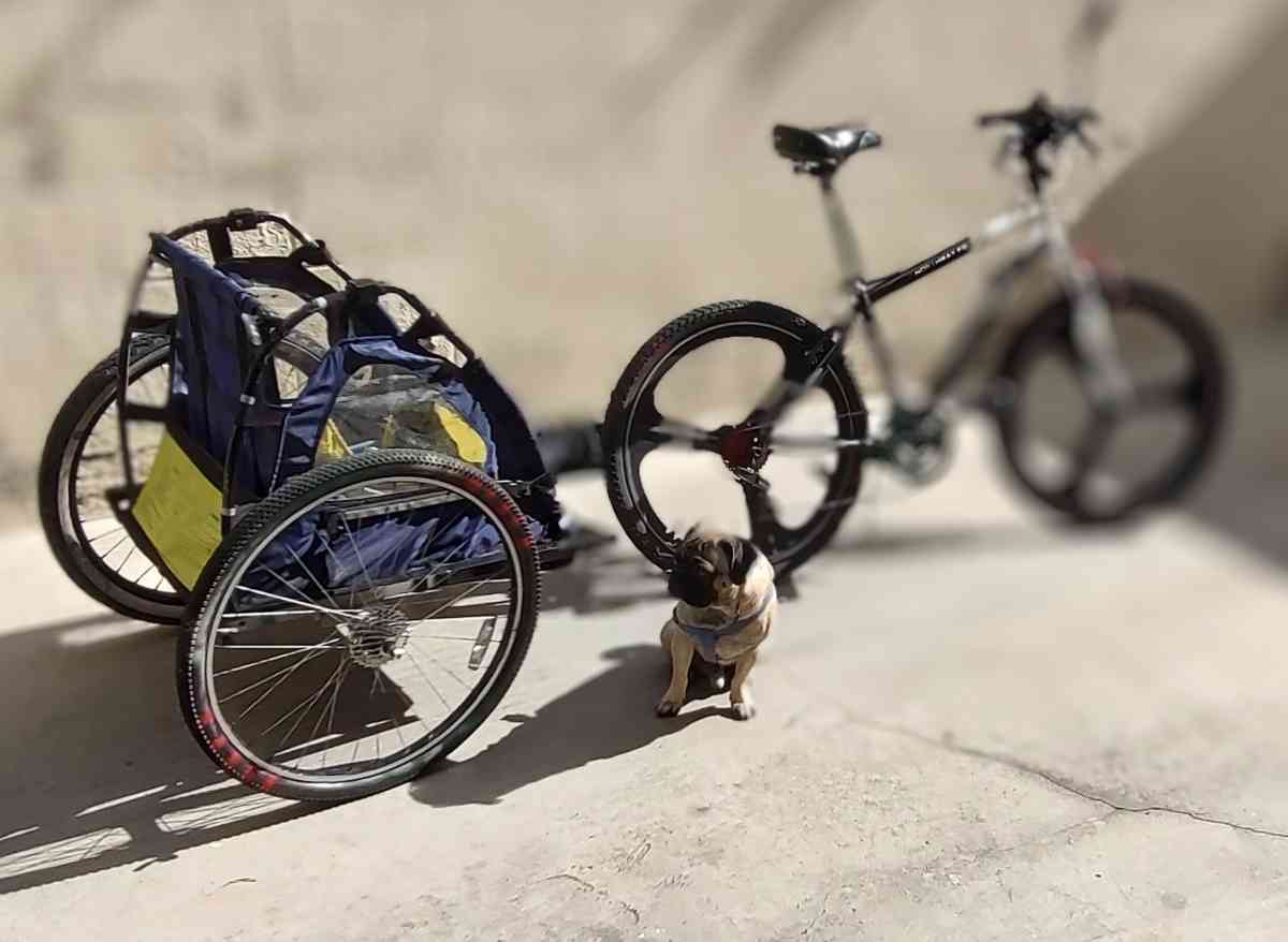 26 mountain bike with - Glendale, California - FleaMarketBay