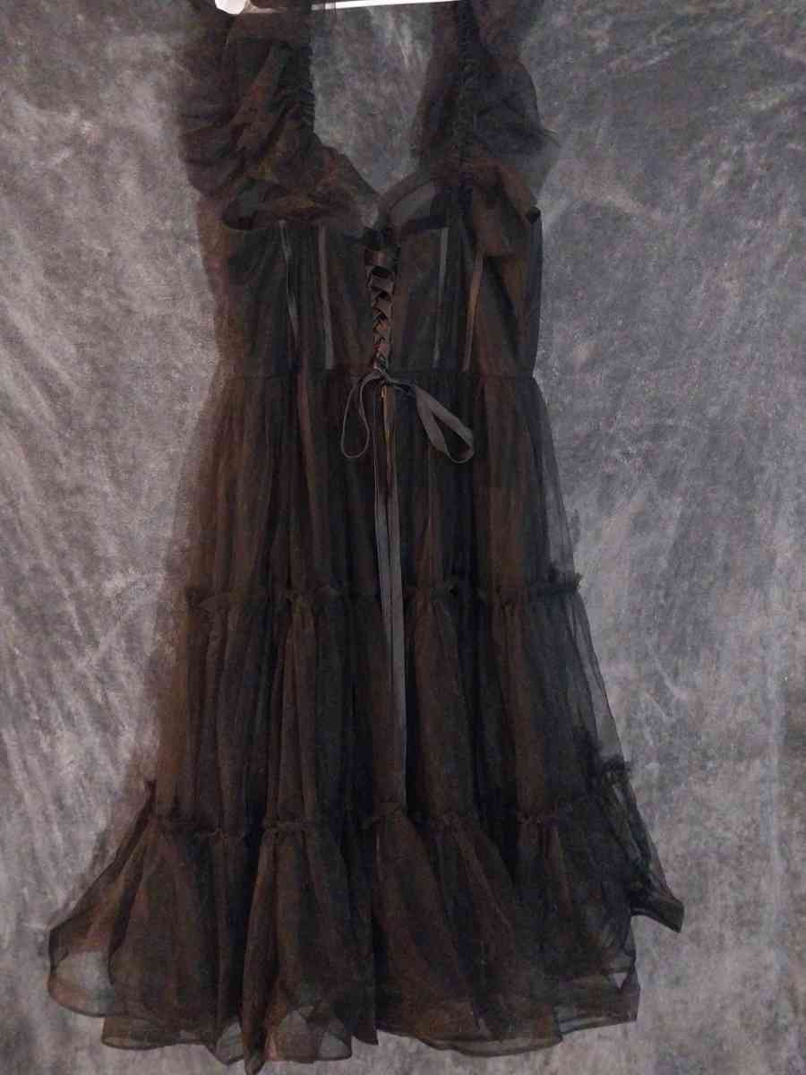 Corset style Corset is see thru around the bust - Portland, Oregon - FleaMarketBay