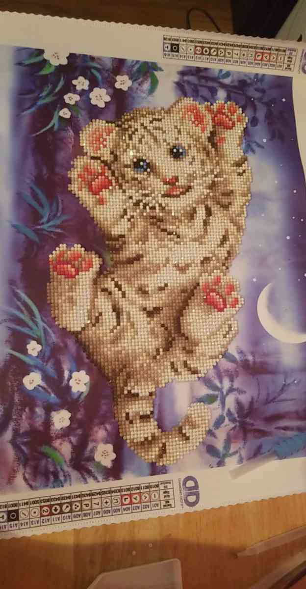 Diamond Painting - Harveys Lake, Pennsylvania - FleaMarketBay