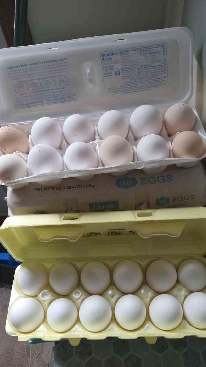 Fresh eggs - Fayetteville, Tennessee - FleaMarketBay