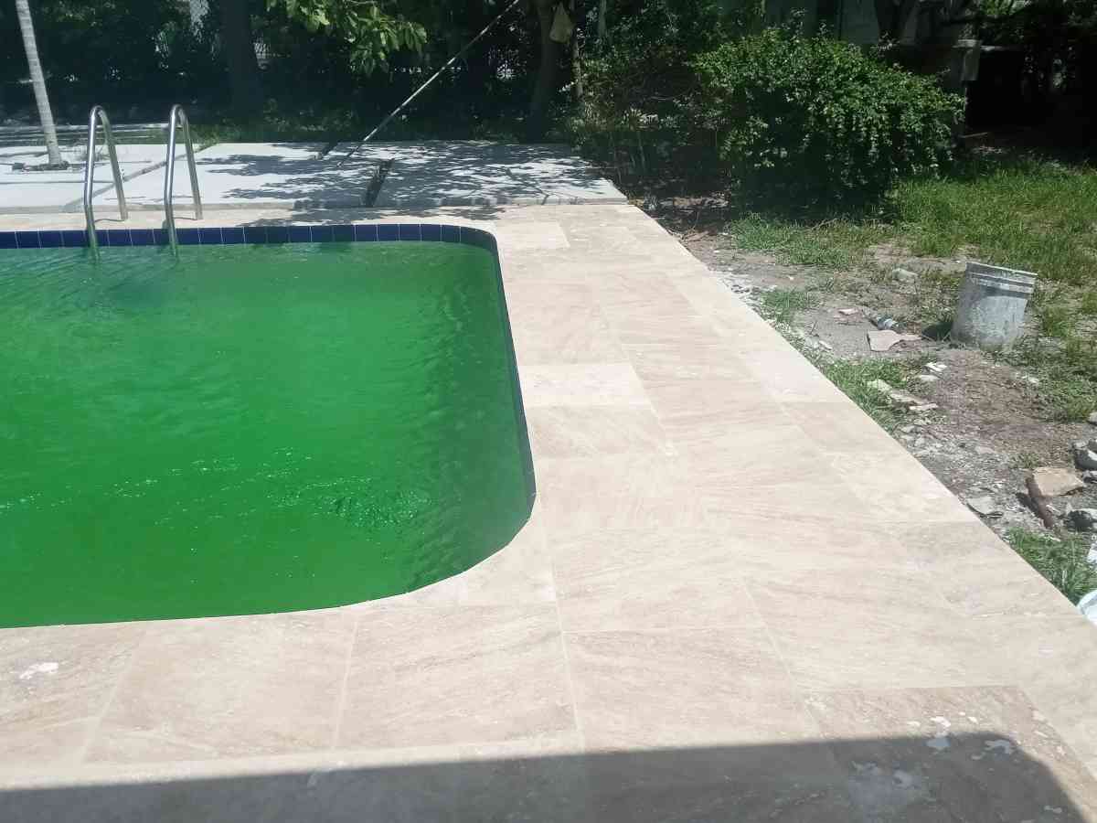 los mejores en el mercado - Dade City, Florida - FleaMarketBay