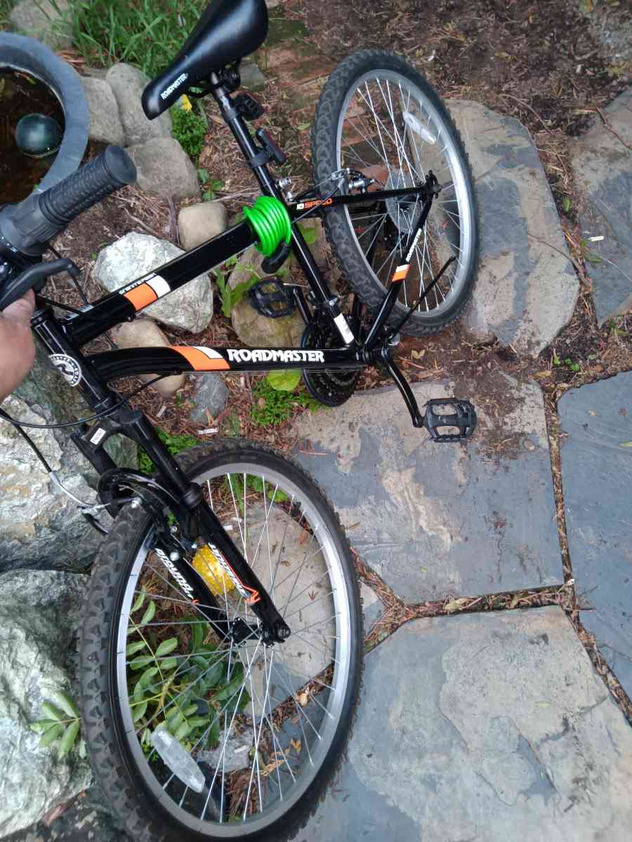 Xavi Vicii - Adelanto, California - FleaMarketBay