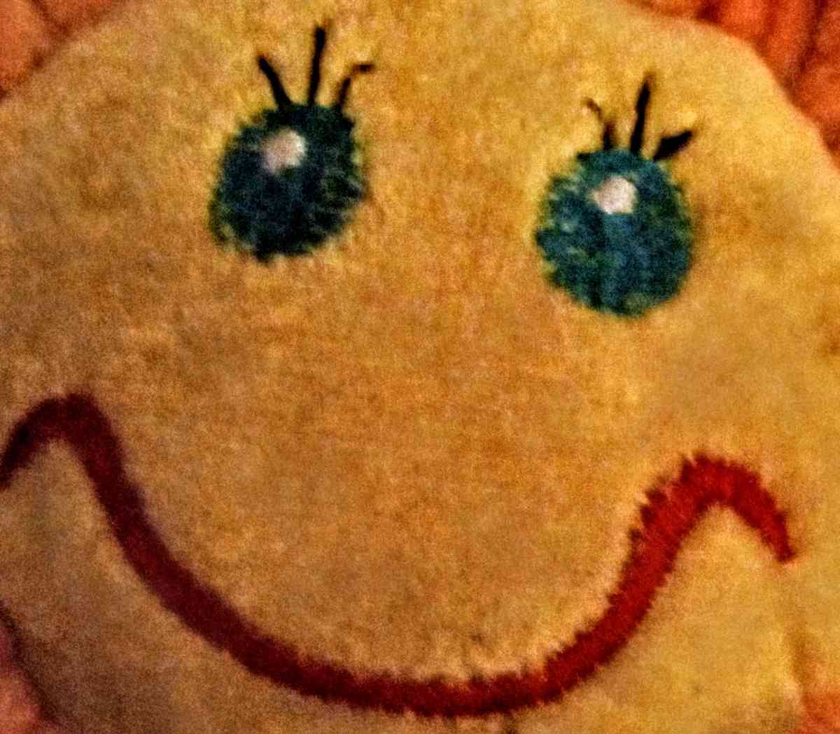 Orange Flower with Yellow Smiley Face and Green Bendable Ste - Muldrow, Oklahoma - FleaMarketBay