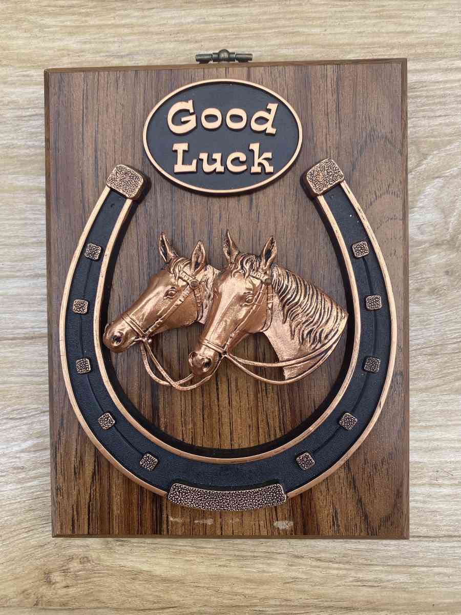 GOOD LUCK HORSE SHOE