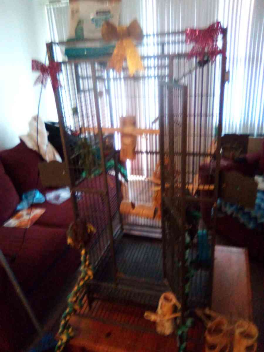 bird cage