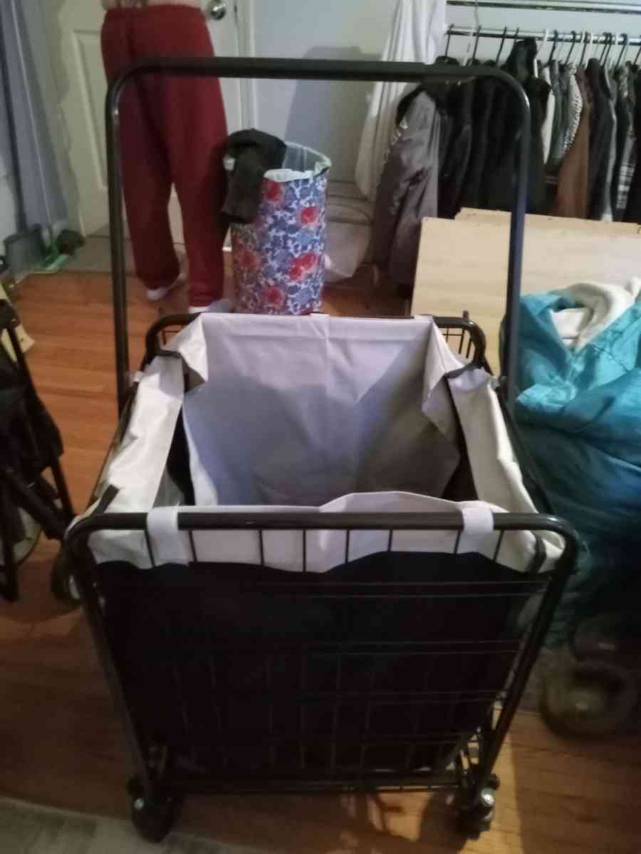 buggy - Gastonia, North Carolina - FleaMarketBay