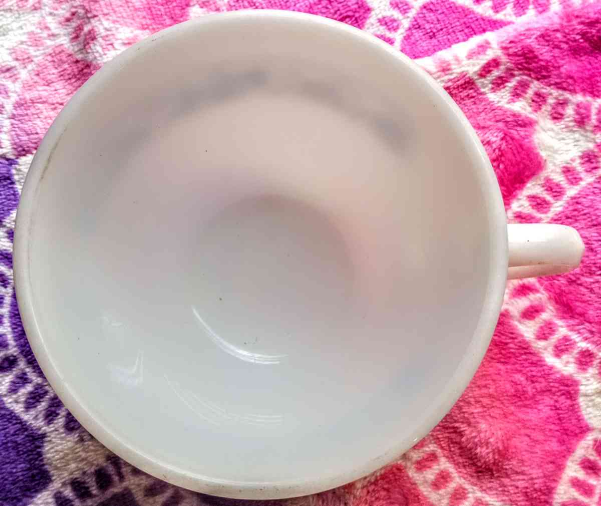 Pyrex Milk Glass Cup with Blue Flowers Design - Muldrow, Oklahoma