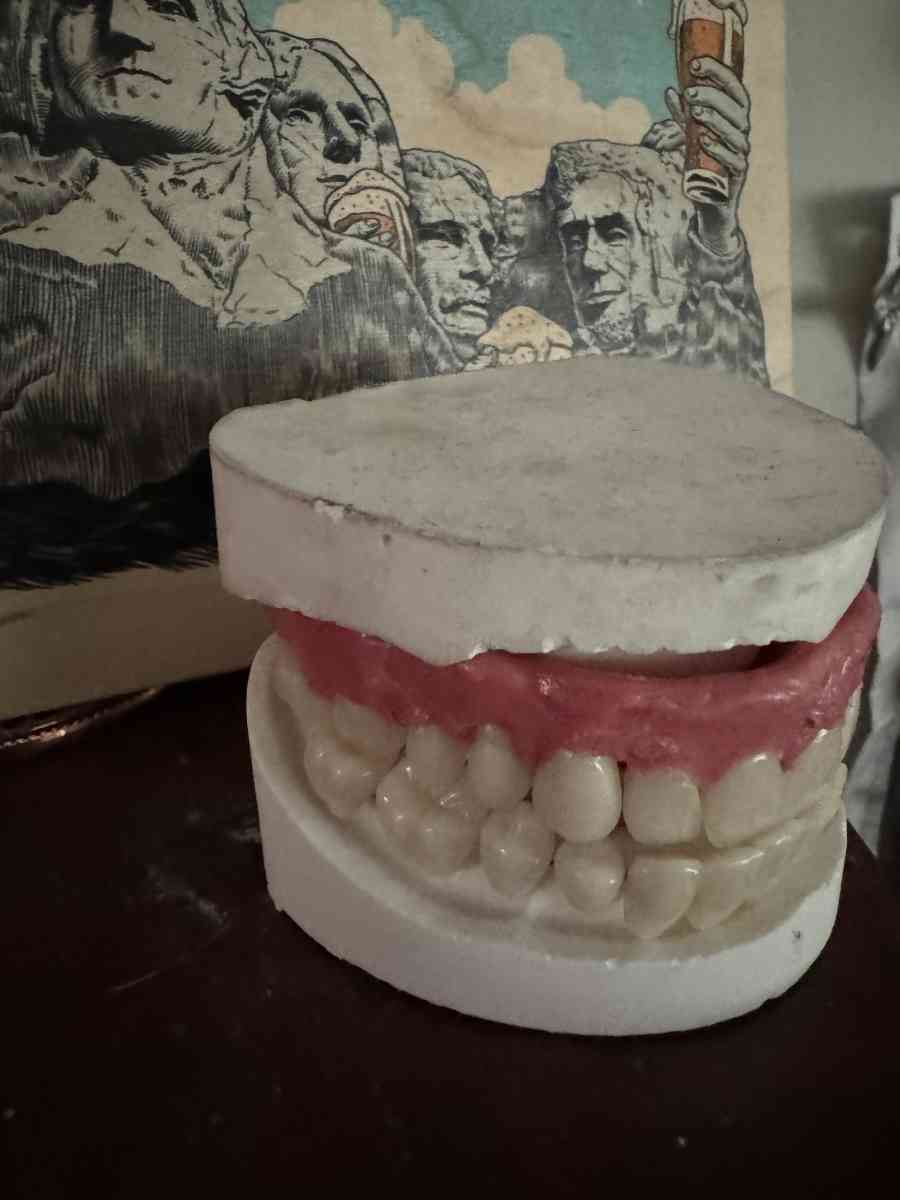 Unused Custom Designed Universal Unisex Dentures - Bridgewater, New Jersey - FleaMarketBay