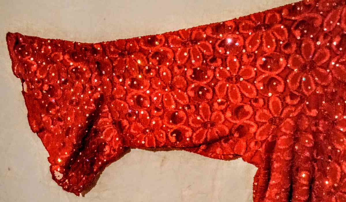 Cato Red Sequins Sheer Lace Long Sleeves Shirt - Muldrow, Oklahoma